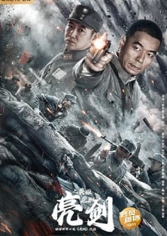 亮剑之英雄虎胆