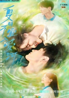 夏日不宜入爱河