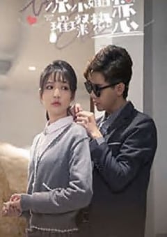 凉小姐的璀璨热恋