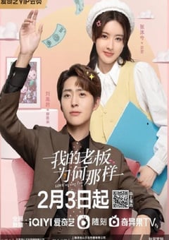 我的老板为何那样